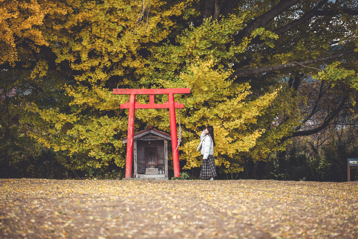 《日本福島景點行程推薦》一次收藏福島私房路線！ 紅葉季秘境神社、吉利蛋公園與深刻的311地震遺址
