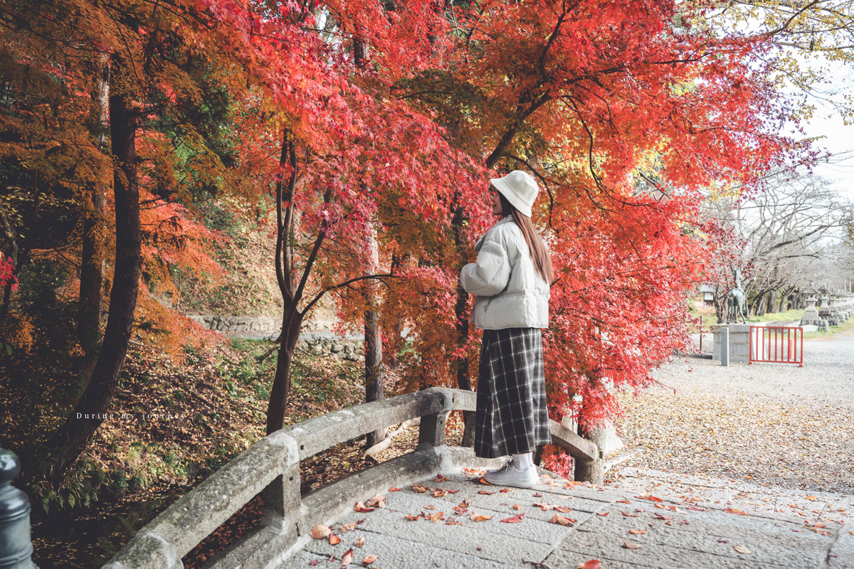 《日本福島景點行程推薦》一次收藏福島私房路線！ 紅葉季秘境神社、吉利蛋公園與深刻的311地震遺址