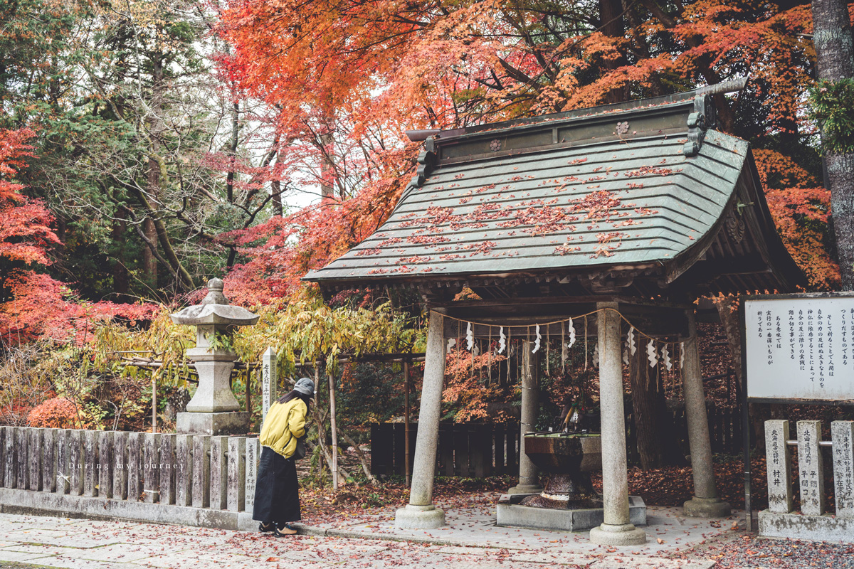 《日本福島景點行程推薦》一次收藏福島私房路線！ 紅葉季秘境神社、吉利蛋公園與深刻的311地震遺址