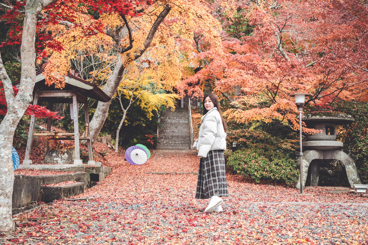 《日本福島景點行程推薦》一次收藏福島私房路線！ 紅葉季秘境神社、吉利蛋公園與深刻的311地震遺址