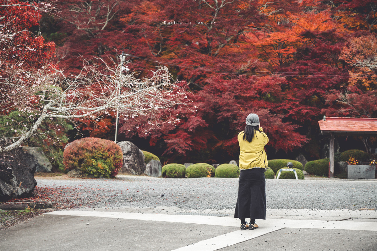 《日本福島景點行程推薦》一次收藏福島私房路線！ 紅葉季秘境神社、吉利蛋公園與深刻的311地震遺址
