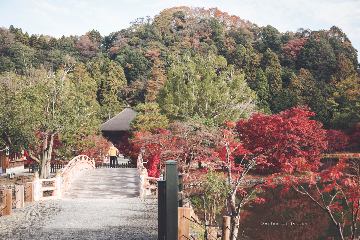 《日本福島景點行程推薦》福島私房景點一次收錄！騎單車到海上鳥居、走進紅葉秘境與海藍寶石水族館