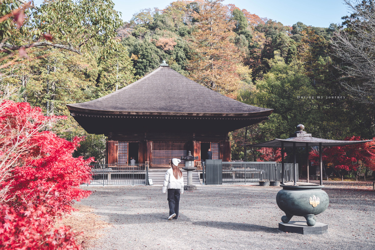 《日本福島景點行程推薦》福島私房景點一次收錄！騎單車到海上鳥居、走進紅葉秘境與海藍寶石水族館