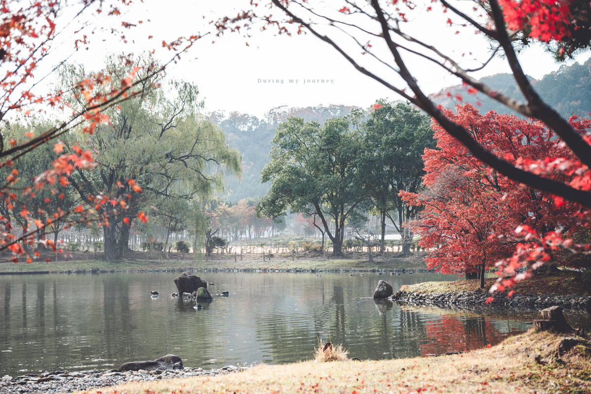 《日本福島景點行程推薦》福島私房景點一次收錄！騎單車到海上鳥居、走進紅葉秘境與海藍寶石水族館
