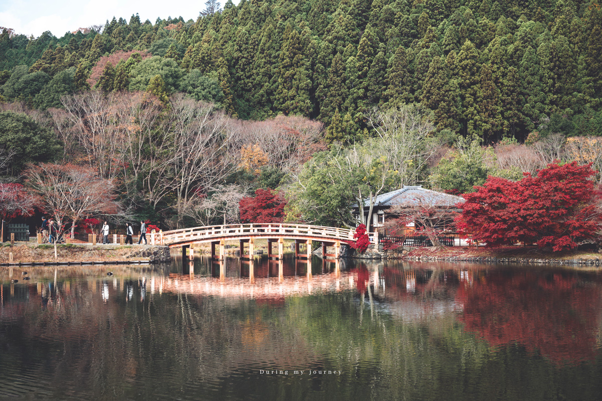 《日本福島景點行程推薦》福島私房景點一次收錄！騎單車到海上鳥居、走進紅葉秘境與海藍寶石水族館