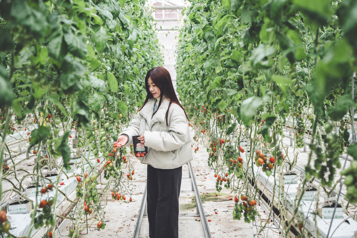 《日本福島景點行程推薦》福島私房景點一次收錄！騎單車到海上鳥居、走進紅葉秘境與海藍寶石水族館