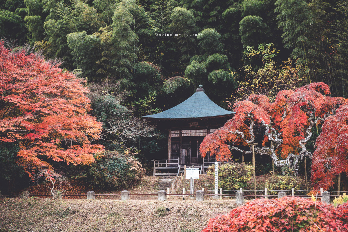 《日本福島景點行程推薦》福島私房景點一次收錄！騎單車到海上鳥居、走進紅葉秘境與海藍寶石水族館
