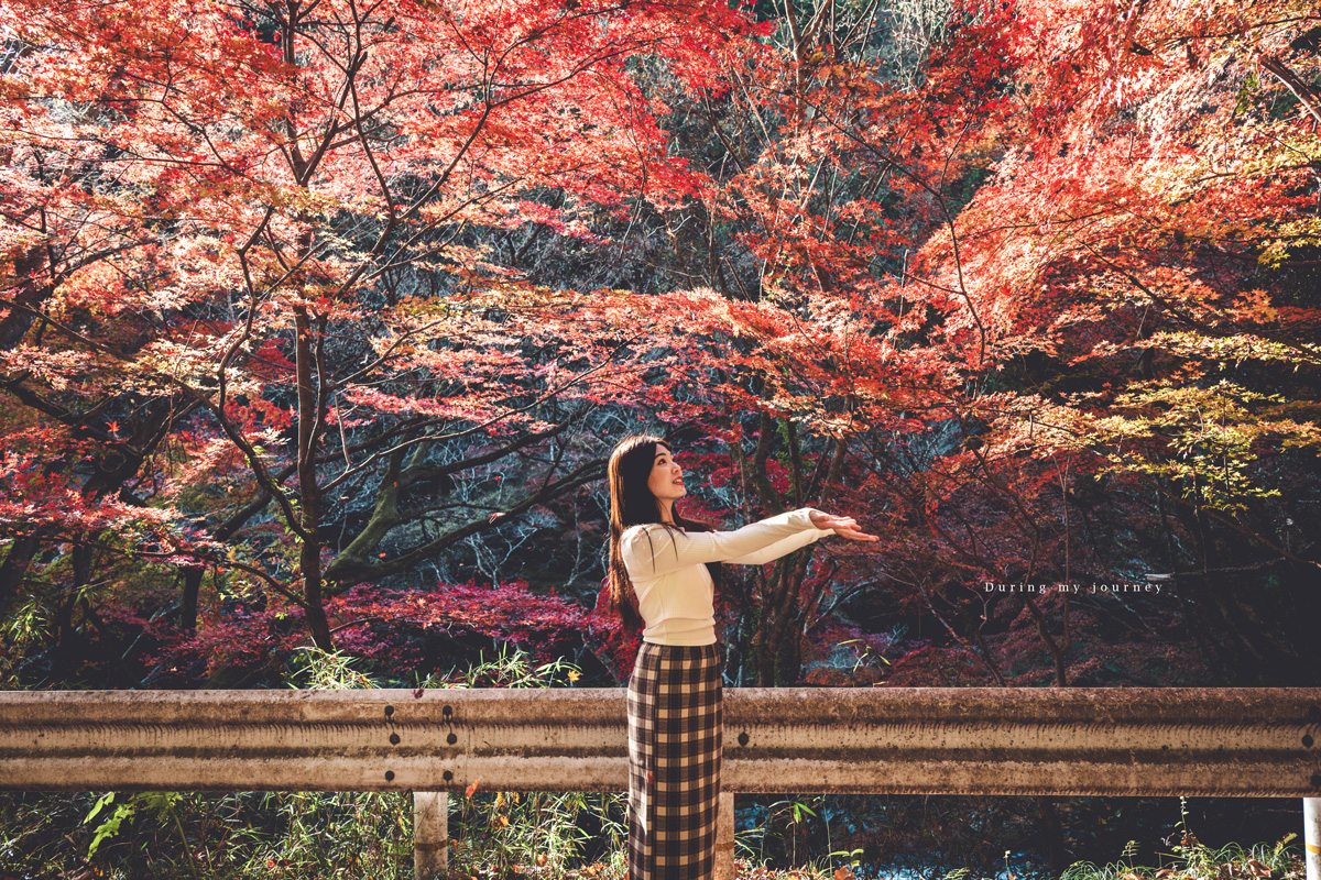 《日本福島景點行程推薦》福島私房景點一次收錄！騎單車到海上鳥居、走進紅葉秘境與海藍寶石水族館