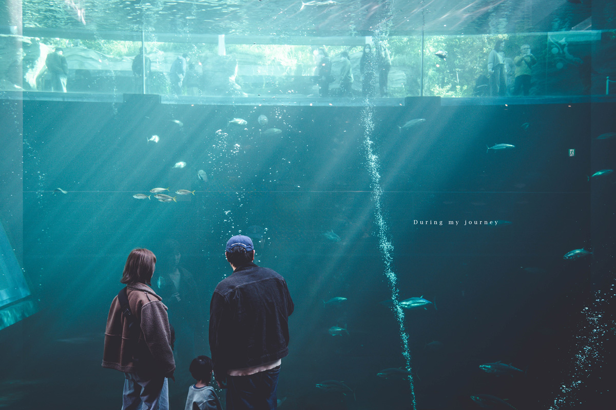 《日本福島景點行程推薦》福島私房景點一次收錄！騎單車到海上鳥居、走進紅葉秘境與海藍寶石水族館