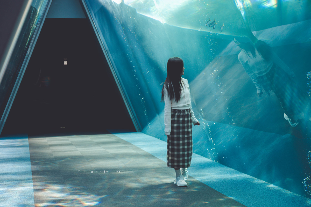 《日本福島景點行程推薦》福島私房景點一次收錄！騎單車到海上鳥居、走進紅葉秘境與海藍寶石水族館