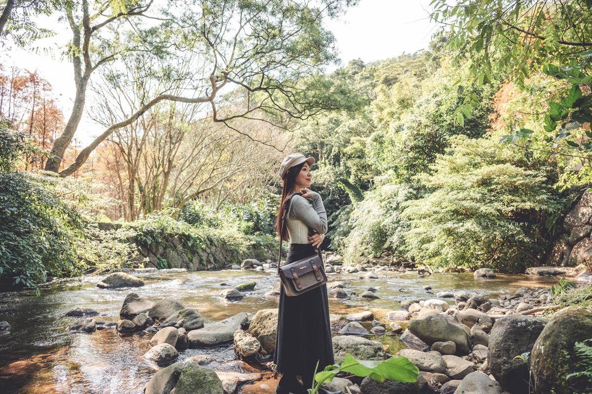 《台北士林》陽明山永公路500巷 陽明山冬季限定落羽松秘境、美得像走進明信片風景