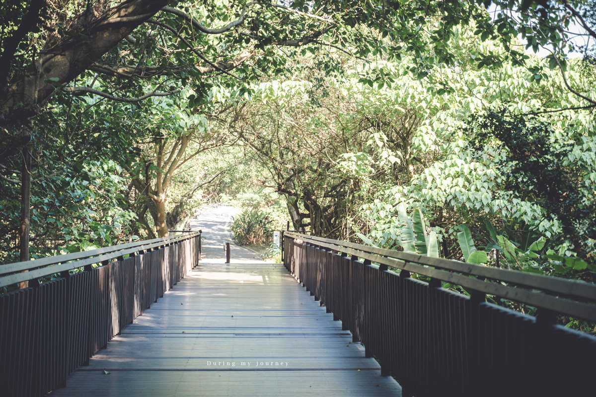 《台北北投》關渡自然公園 城市裡被遺忘的一顆綠寶石、北投隱藏版私房景點