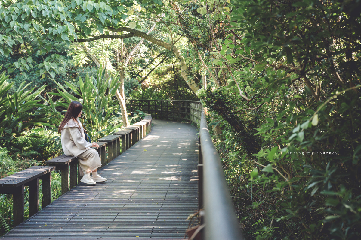 《台北北投》關渡自然公園 城市裡被遺忘的一顆綠寶石、北投隱藏版私房景點
