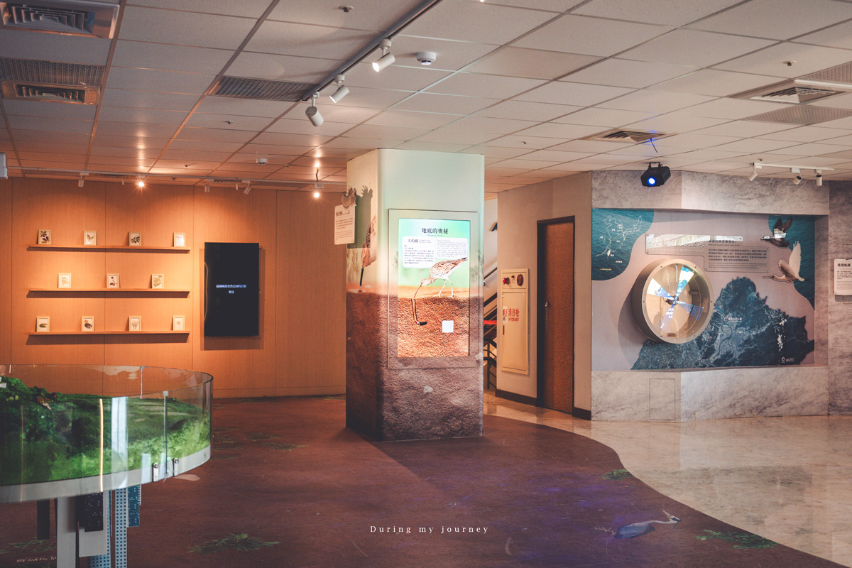 《台北北投》關渡自然公園 城市裡被遺忘的一顆綠寶石、北投隱藏版私房景點