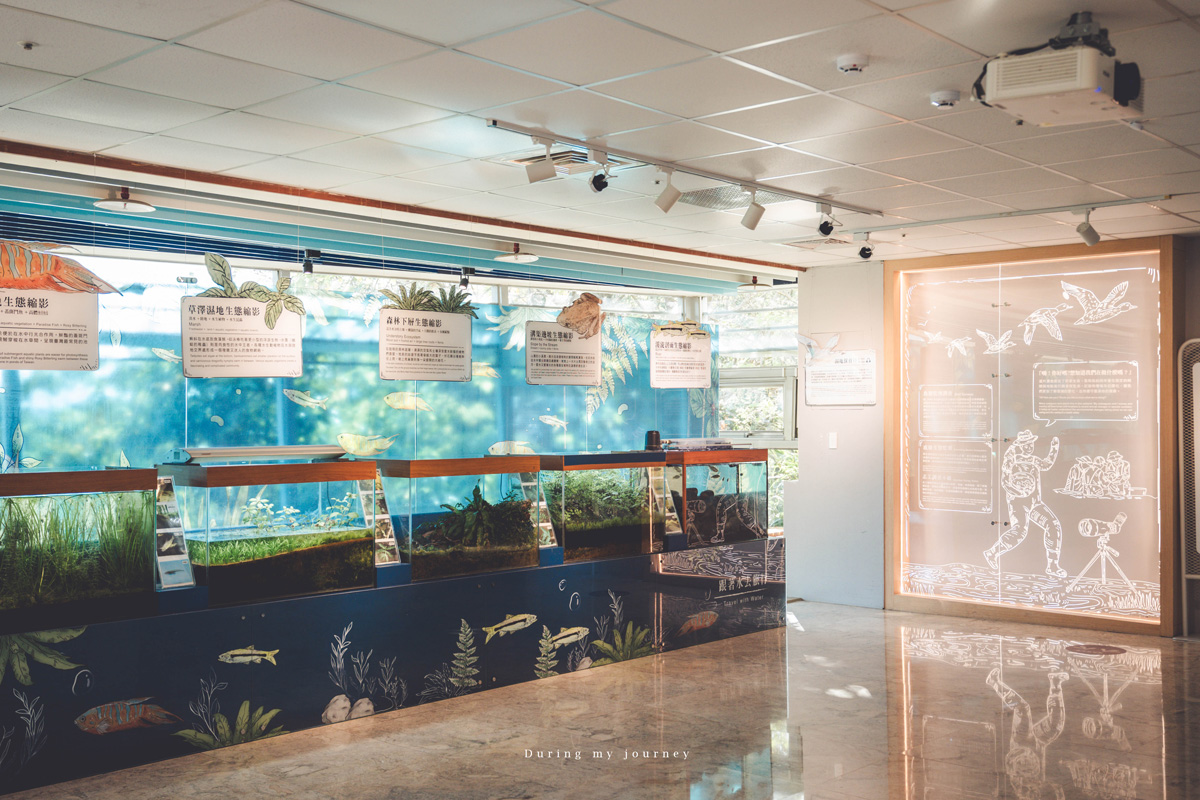 《台北北投》關渡自然公園 城市裡被遺忘的一顆綠寶石、北投隱藏版私房景點