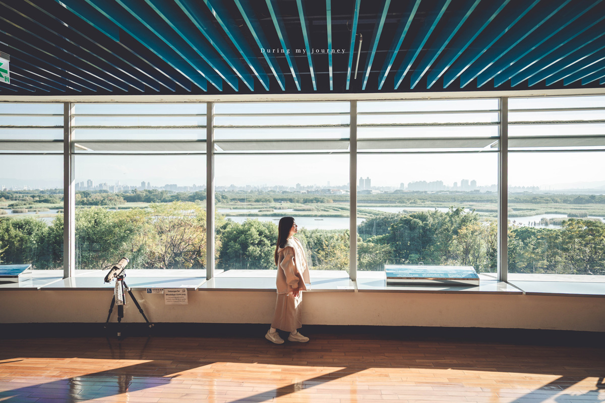 《台北北投》關渡自然公園 城市裡被遺忘的一顆綠寶石、北投隱藏版私房景點