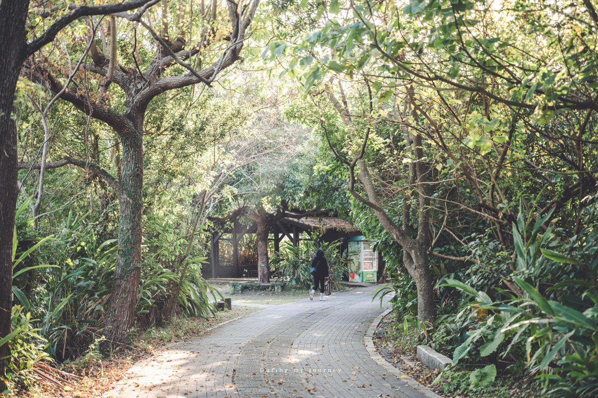 《台北北投》關渡自然公園 城市裡被遺忘的一顆綠寶石、北投隱藏版私房景點