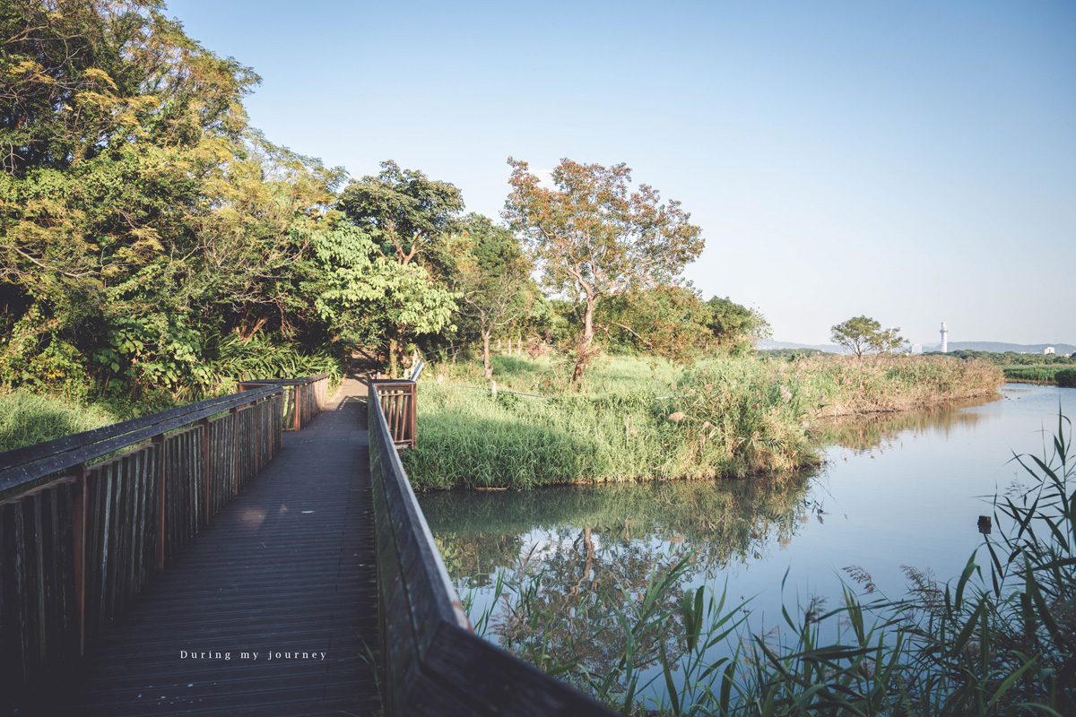 《台北北投》關渡自然公園 城市裡被遺忘的一顆綠寶石、北投隱藏版私房景點