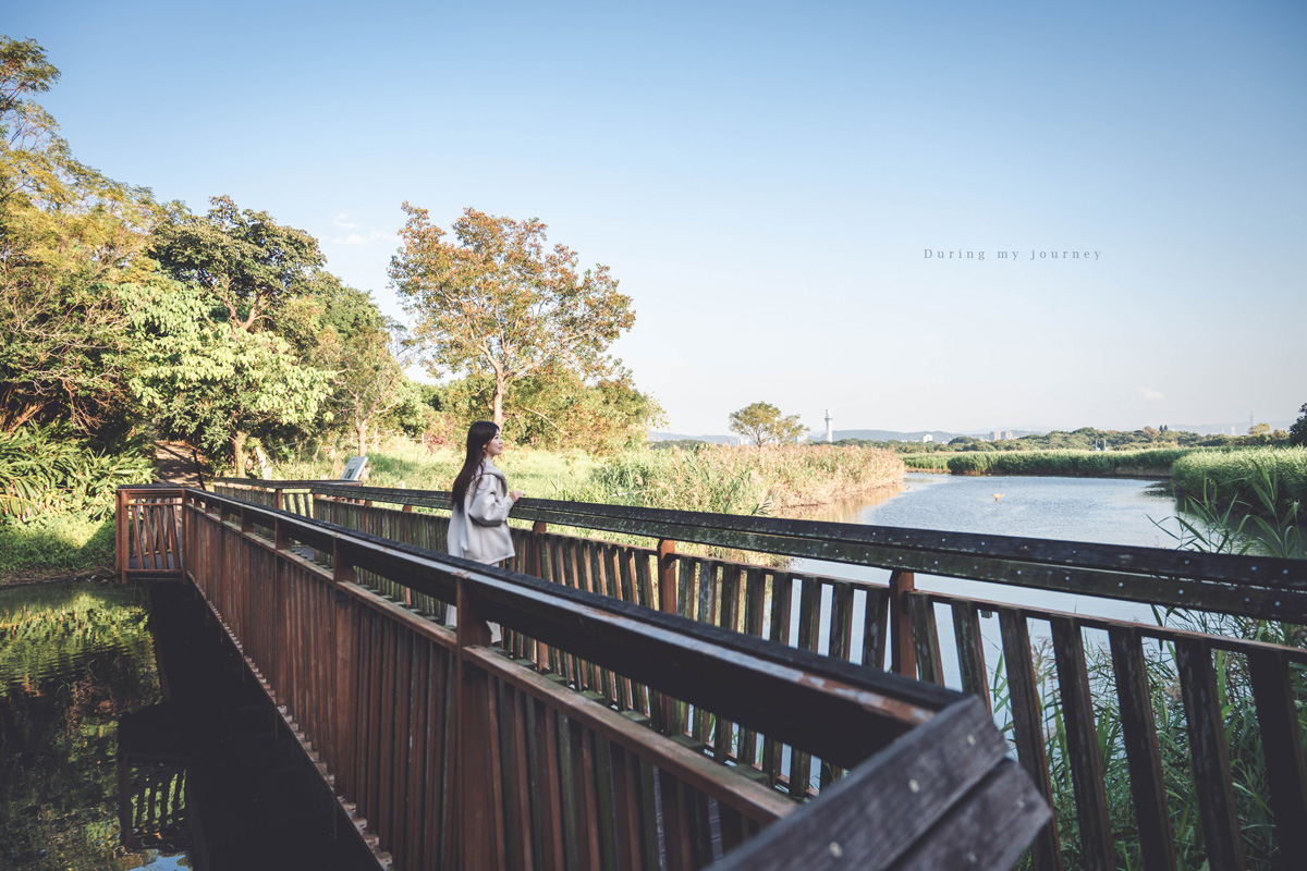 《台北北投》關渡自然公園 城市裡被遺忘的一顆綠寶石、北投隱藏版私房景點