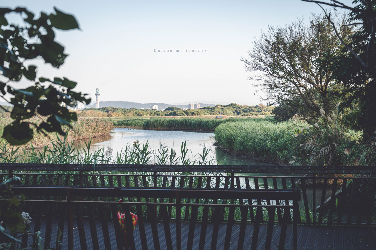 《台北北投》關渡自然公園 城市裡被遺忘的一顆綠寶石、北投隱藏版私房景點