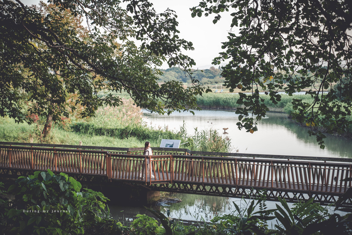 《台北北投》關渡自然公園 城市裡被遺忘的一顆綠寶石、北投隱藏版私房景點