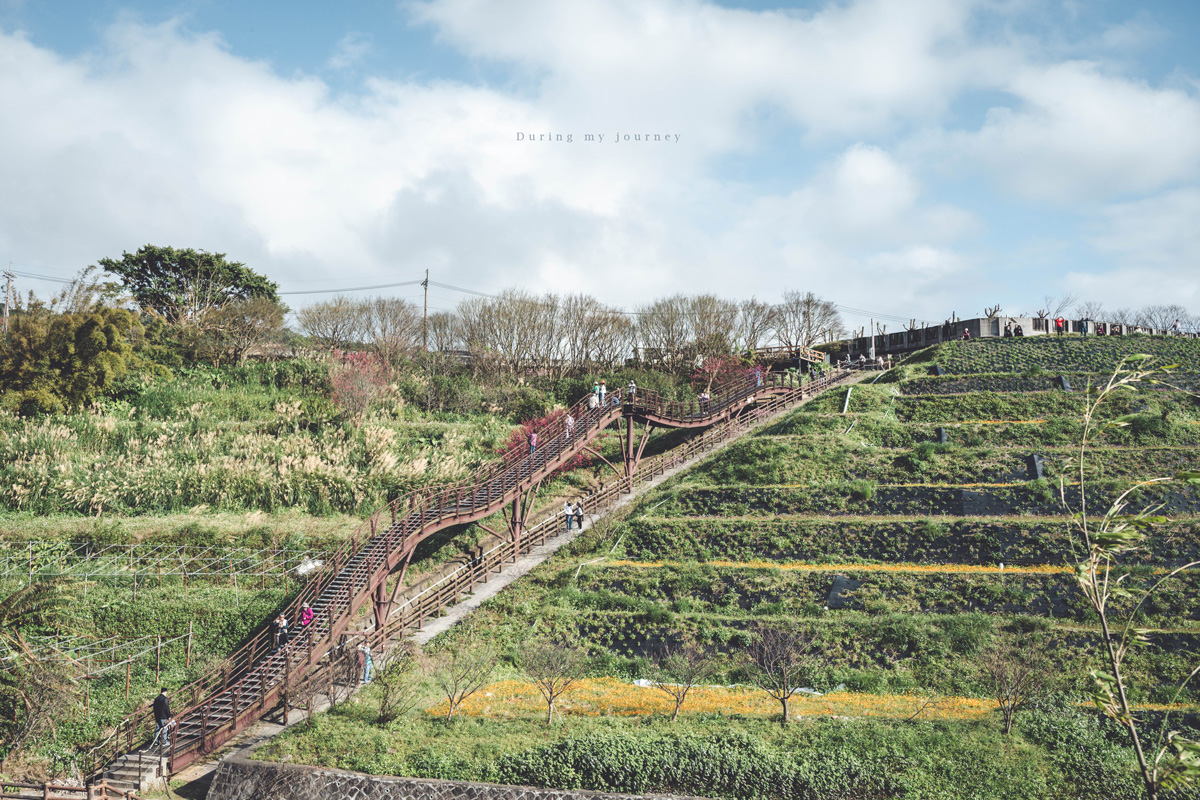 《台北士林》陽明山平菁街42巷 走進初春最浪漫的粉色山景、陽明山必訪櫻花景點｜附交通停車資訊