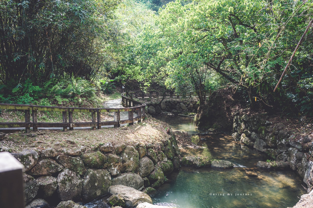 《台北文山》小坑溪親水文學步道 台北城市邊緣的森林溪谷秘境、藏於政大旁的世外桃源