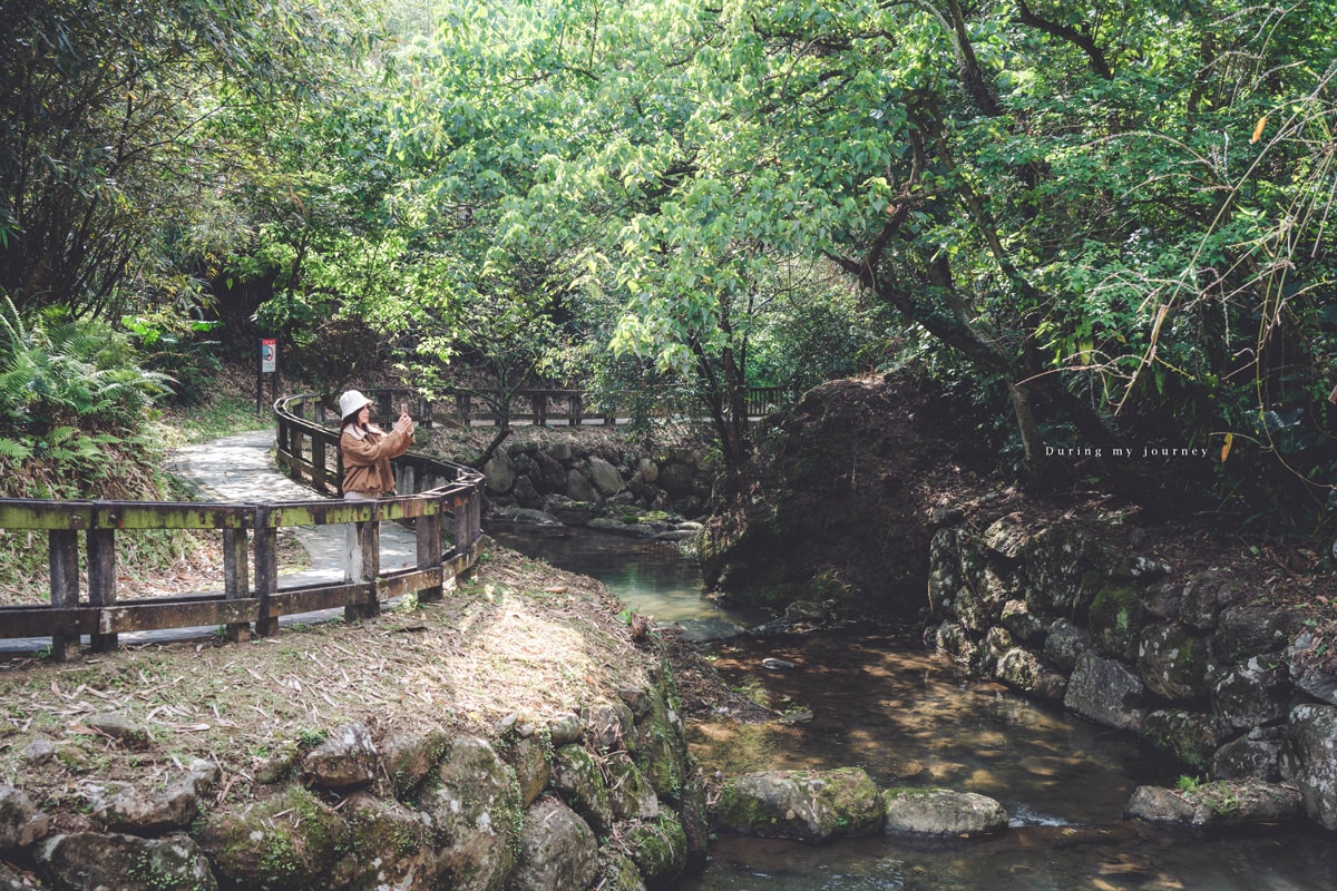 《台北文山》小坑溪親水文學步道 台北城市邊緣的森林溪谷秘境、藏於政大旁的世外桃源