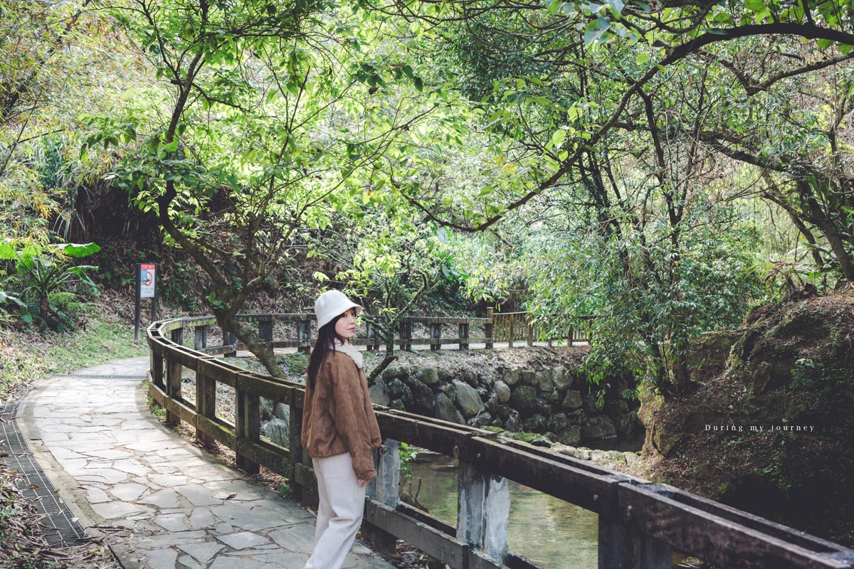 《台北文山》小坑溪親水文學步道 台北城市邊緣的森林溪谷秘境、藏於政大旁的世外桃源