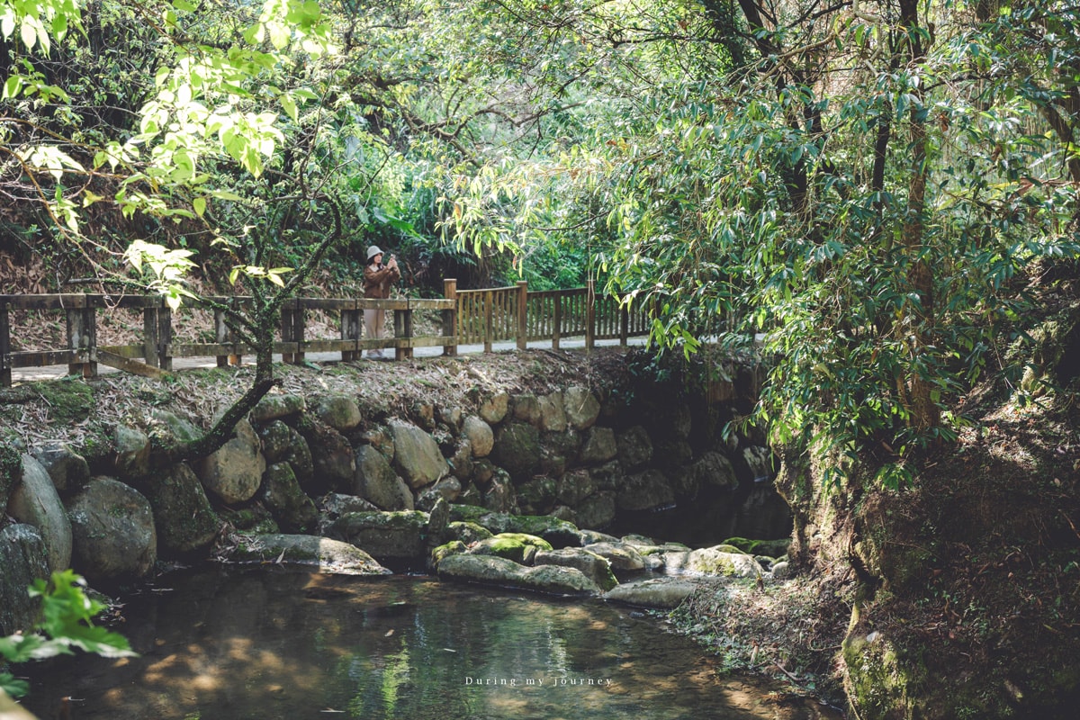 《台北文山》小坑溪親水文學步道 台北城市邊緣的森林溪谷秘境、藏於政大旁的世外桃源