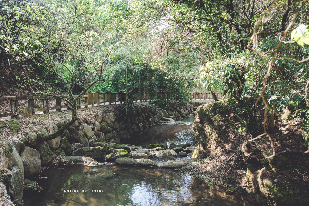 《台北文山》小坑溪親水文學步道 台北城市邊緣的森林溪谷秘境、藏於政大旁的世外桃源