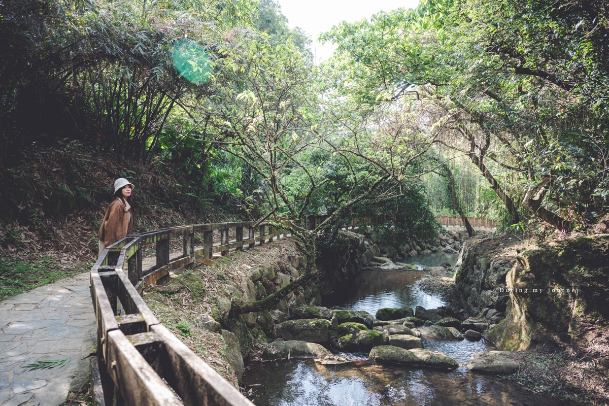 《台北文山》小坑溪親水文學步道 台北城市邊緣的森林溪谷秘境、藏於政大旁的世外桃源