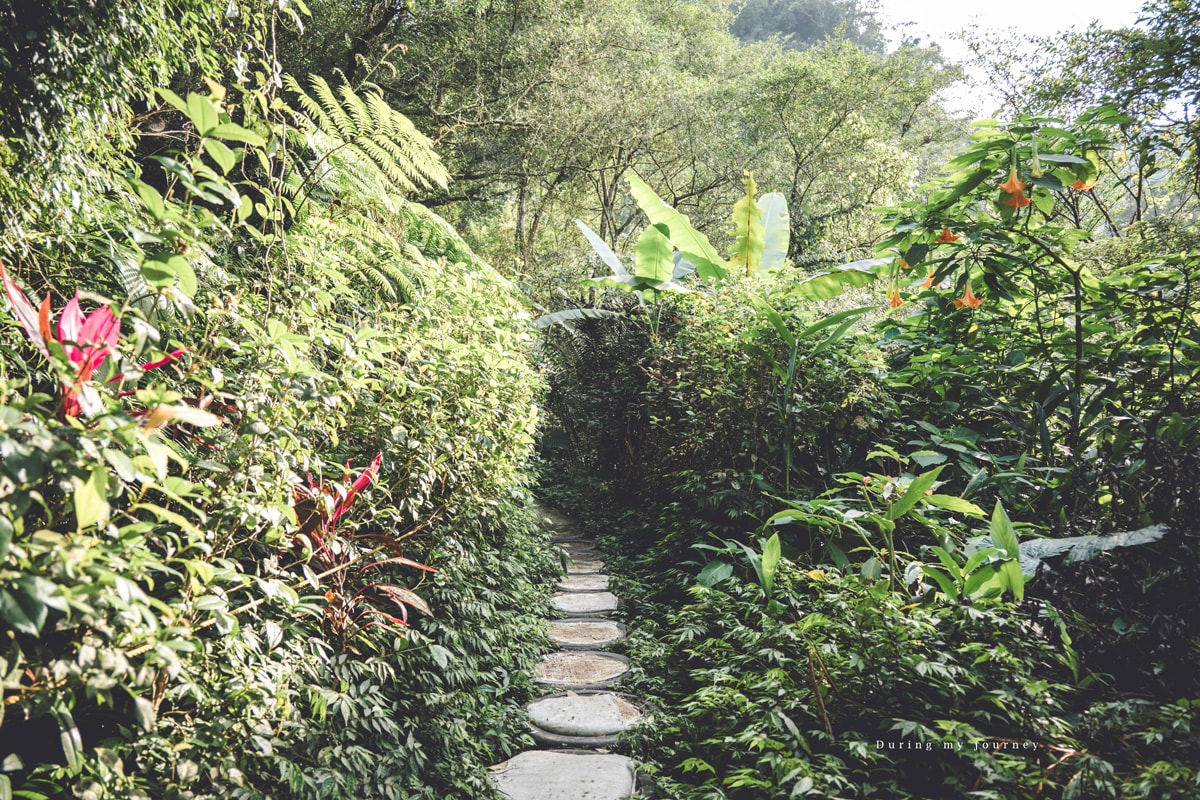 《新北深坑》炮子崙瀑布 台北近郊輕鬆不費力的瀑布秘境、15分鐘走進森林溪谷之中