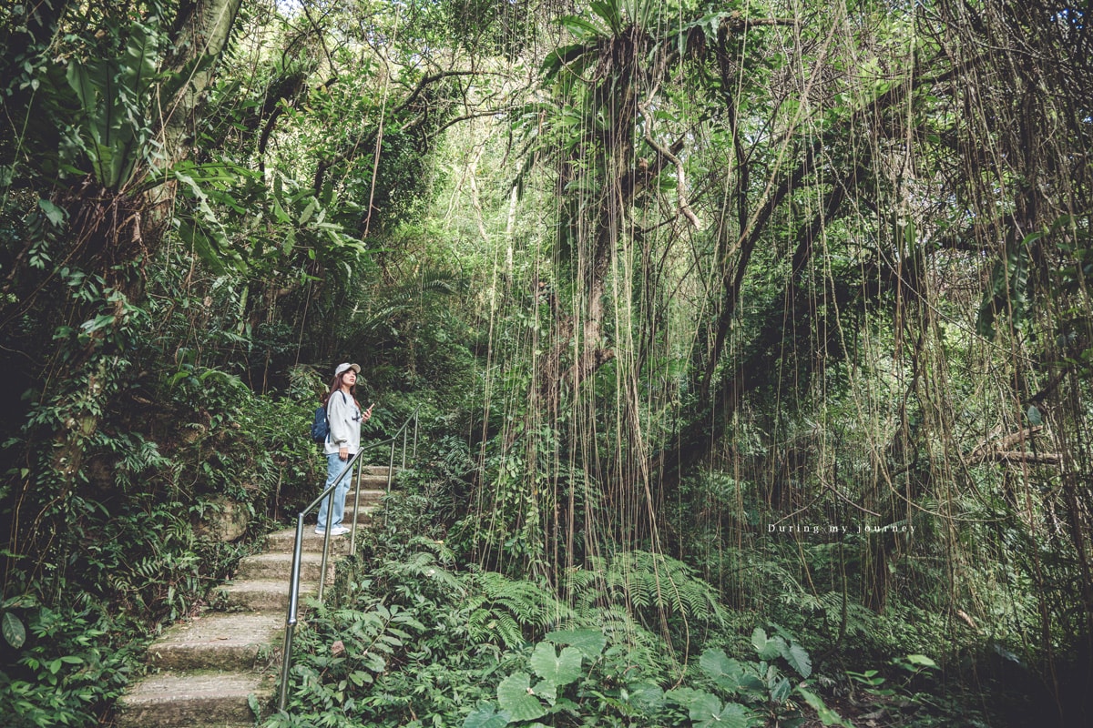 《新北深坑》炮子崙瀑布 台北近郊輕鬆不費力的瀑布秘境、15分鐘走進森林溪谷之中
