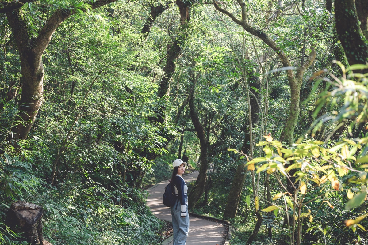 《新北三芝》二子坪步道 陽明山最舒服療癒的森林浴步道、20分鐘走進一片山谷桃花源