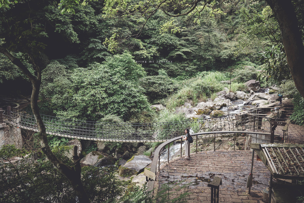 《台北北投》草山觀瀑吊橋 陽明山全新森林瀑布秘境、5分鐘輕鬆抵達的避暑景點