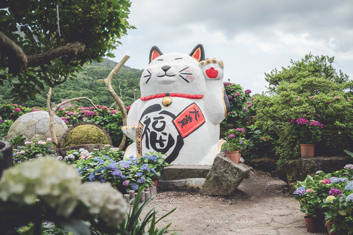 《台北北投》大賞園 2026陽明山繡球花季登場！小油坑山景下的花海美得像異國明信片