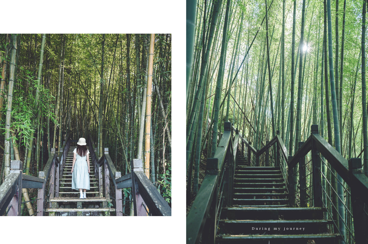 《嘉義竹崎》石棹步道群-霞之道 飽覽遼闊山景與翠綠茶園、宛如走進仙境的絕美步道