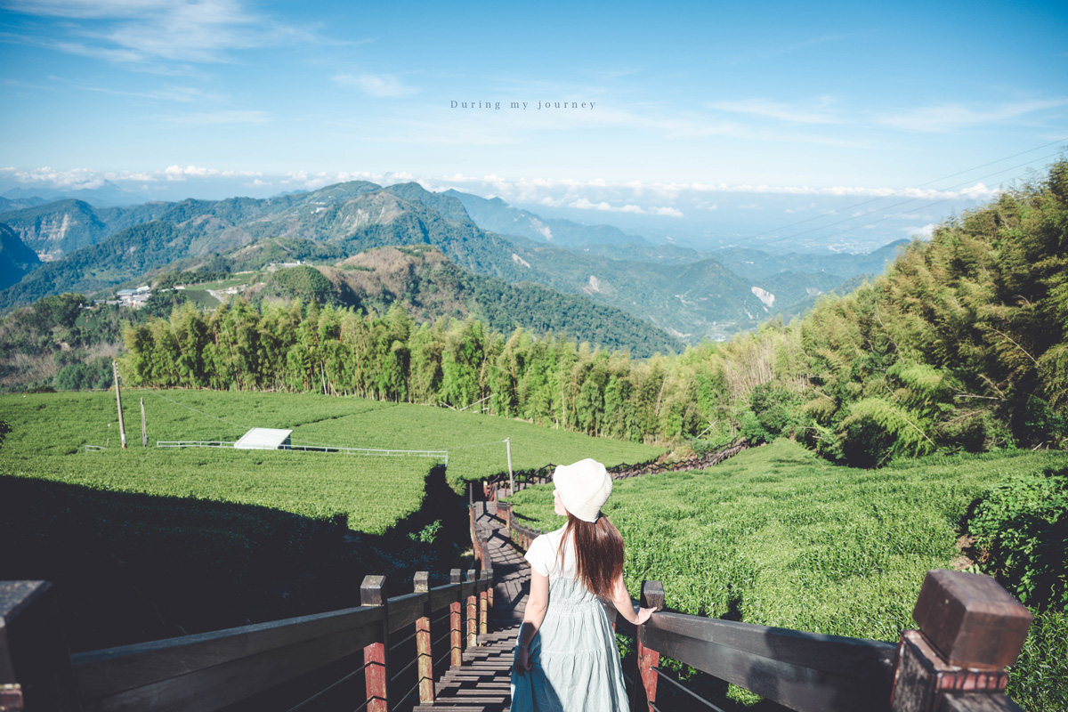 《嘉義竹崎》石棹步道群-霞之道 飽覽遼闊山景與翠綠茶園、宛如走進仙境的絕美步道