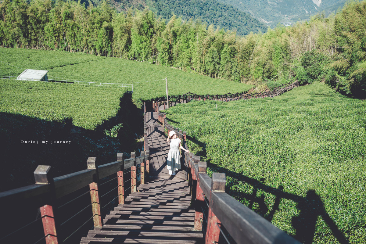 《嘉義竹崎》石棹步道群-霞之道 飽覽遼闊山景與翠綠茶園、宛如走進仙境的絕美步道