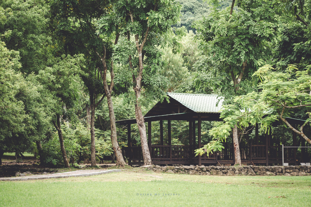 《高雄岡山.阿蓮一日遊景點》2026大崗山龍眼蜂蜜文化節 品嚐特等龍眼蜂蜜、順遊眷村老宅咖啡廳與百萬夜景餐廳 - 第17張圖 《高雄岡山.阿蓮一日遊景點》2026大崗山龍眼蜂蜜文化節 品嚐特等龍眼蜂蜜、順遊眷村老宅咖啡廳與百萬夜景餐廳
