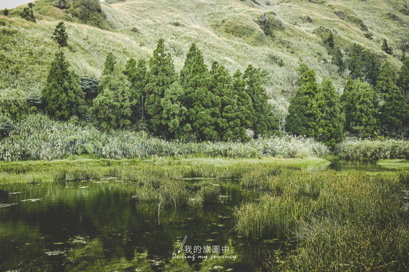 《台北士林》陽明山夢幻湖 有如置身歐美公園的森林系靜謐湖泊 @我的旅圖中 during my journey