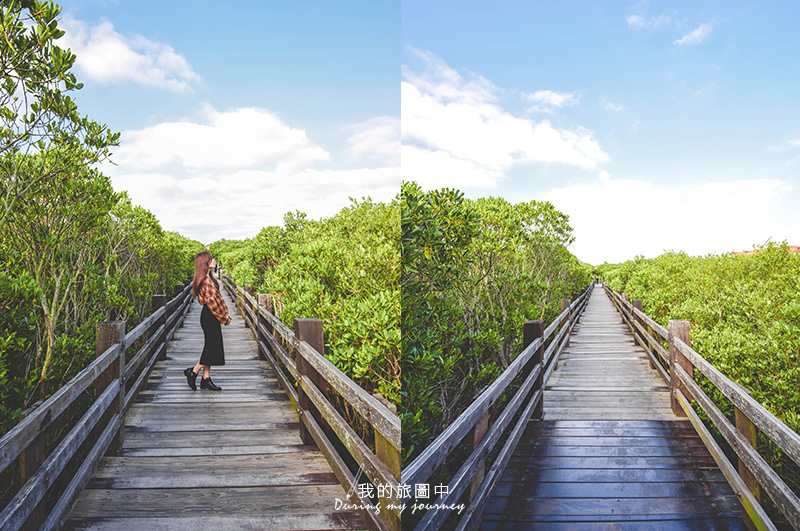 《新竹新豐》新豐紅樹林生態保護區 森林綠廊道裡的清新漫步 @我的旅圖中 during my journey