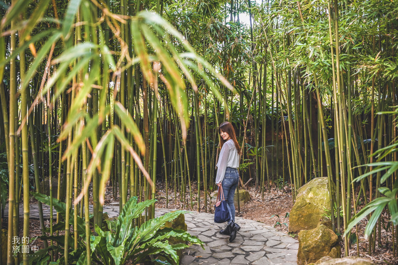 《台北士林》豆留森林CAMA COFFEE ROASTERS 在竹林中與日式老屋相遇，走一回陽明山的咖啡秘境 @我的旅圖中 during my journey